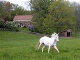 View more about preservation real estate and this historic property for sale in Bullville, New York
