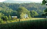 View more about preservation real estate and this historic property for sale in Edinburg, Virginia