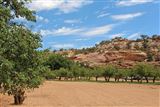 Click for a larger image! Historic real estate listing for sale in Cortez, CO