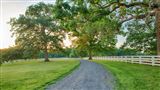 Click for a larger image! Historic real estate listing for sale in Scottsvile, VA