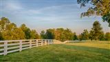 Click for a larger image! Historic real estate listing for sale in Scottsvile, VA