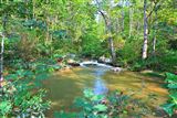 Click for a larger image! Historic real estate listing for sale in Faber, VA