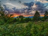 Click for a larger image! Historic real estate listing for sale in Arrington, VA