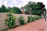 Click for a larger image! Historic real estate listing for sale in Portsmouth, VA