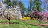 Click for a larger image! Historic real estate listing for sale in Robesonia, PA